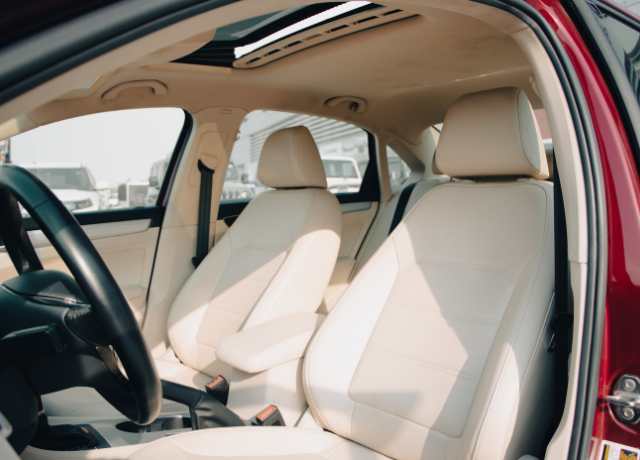 Professional Drivers